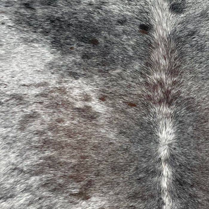 Closeup of this Tricolor Speckled Brazilian Cowhide, showing a mix of black and brown, with fine white speckles, down the middle, and white with black speckles, and a few small, brown spots, on the sides and shoulder, (BRSP2691)