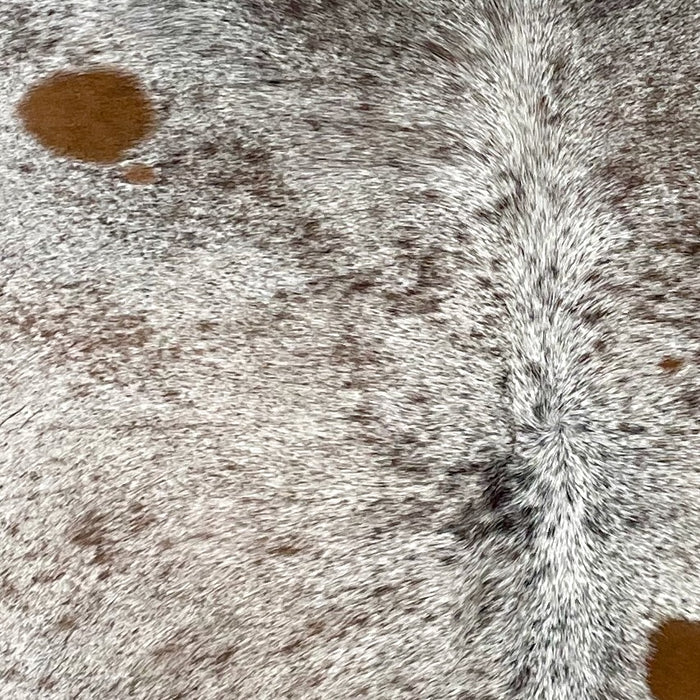 Closeup of this Tricolor Speckled Brazilian Cowhide, showing white with black and brown speckles and spots (BRSP2709)