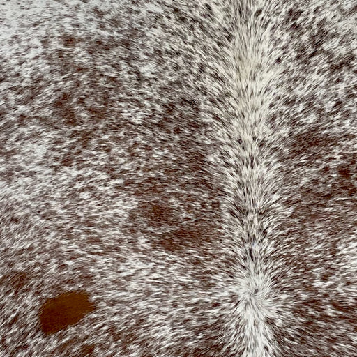 Closeup of this Speckled Brazilian Cowhide, showing white with reddish brown speckles and spots (BRSP2710)