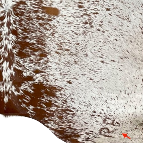 CLoseup of this White and Reddish Brown Speckled Brazilian Cowhide, showing one brand mark on the right side of the butt (BRSP2711)