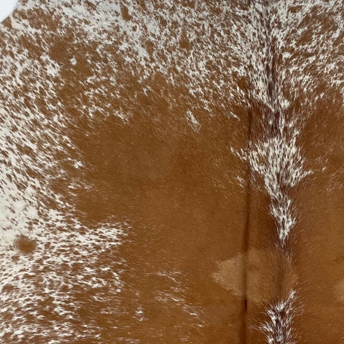 Closeup of this Speckled Brazilian Cowhide, showing reddish brown, with white speckles, down the middle of the back, and white with reddish brown speckles on the belly and shoulder (BRSP2713)