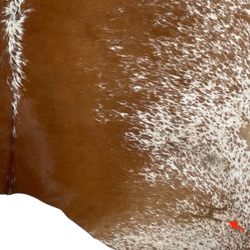 Closeup of this Reddish Brown and White Speckled Brazilian Cowhide, showing one brand mark on the right side of the butt (BRSP2713)