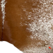 Closeup of this Reddish Brown and White Speckled Brazilian Cowhide, showing one brand mark on the right side of the butt (BRSP2713)