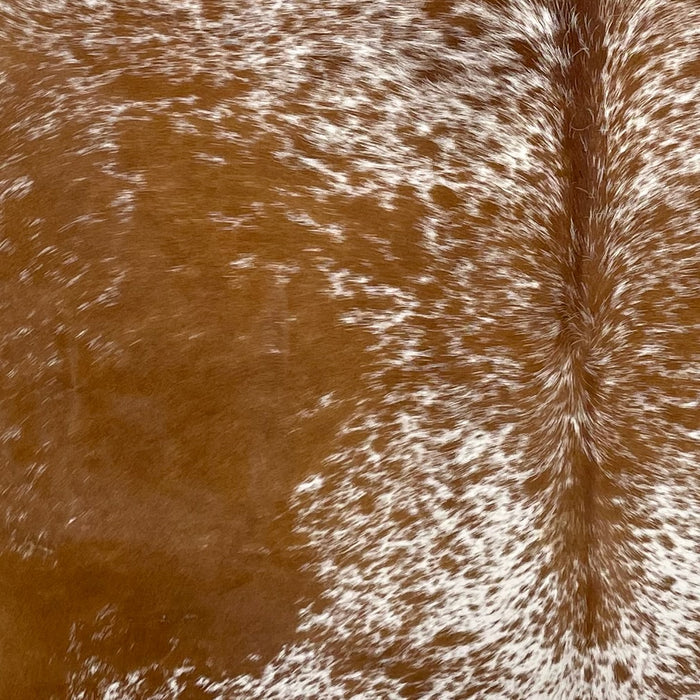 Closeup of this Speckled Brazilian Cowhide, showing white with brown speckles and spots down the back, and reddish brown, with white speckles, on the sides (BRSP2714)