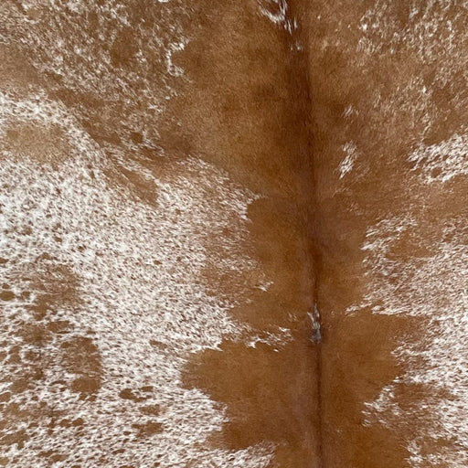 Closeup of this Speckled Brazilian Cowhide, showing white with brown speckles and spots (BRSP2723)