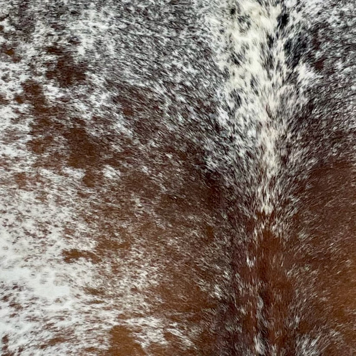 Closeup of this Large Tricolor Speckled Brazilian Cowhide, showing white with reddish brown speckles and spots on the back, and black speckles on the shoulder  (BRSP2729)