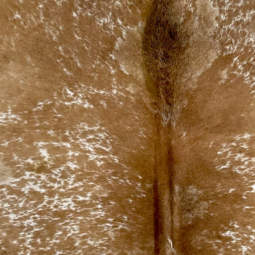 Closeup of this Speckled Brazilian Cowhide, showing  caramel with white speckles and spots (BRSP2749)