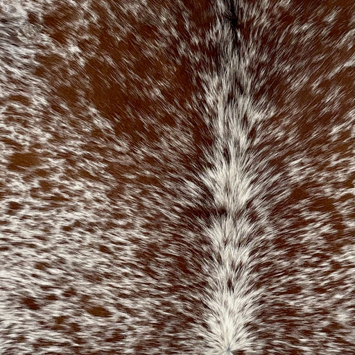 closeup of this Speckled Brazilian Cowhide, showing white with brown speckles and spots (BRSP2756)