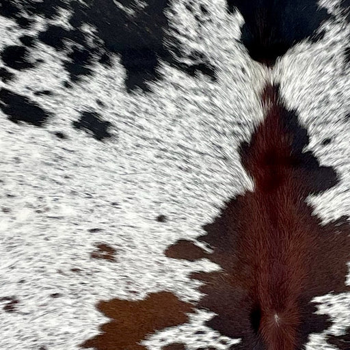 Closeup of this Tricolor Speckled Brazilian Cowhide, showing white with black and dark, reddish brown speckles and spots  (BRSP2757)