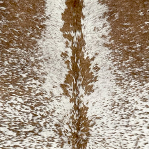 Closeup of this Speckled Brazilian Cowhide, showing white with brown speckles and spots (BRSP2759)