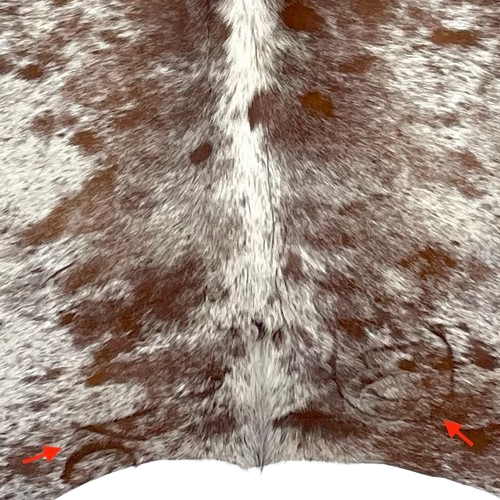 Closeup of this Off-White and Brown Speckled Brazilian Cowhide, showing one brand mark on each side of the butt (BRSP2761)