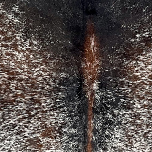 Closeup of this Tricolor Speckled Brazilian Cowhide, showing white with brown and black speckles and spots, a large, black spot in the middle of the shoulder, and reddish brown down part of the spine (BRSP2763)