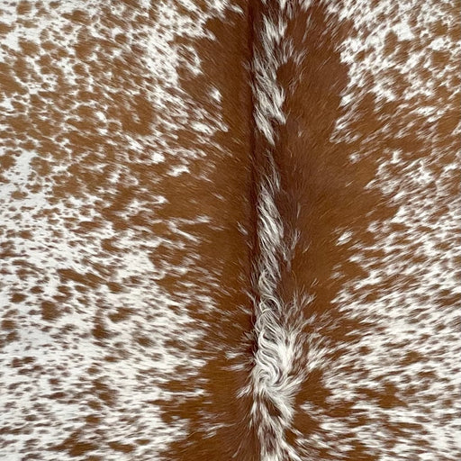 closeup of this Speckled Brazilian Cowhide, showing white with brown speckles and spots (BRSP2764)