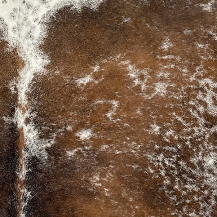 Closeup of this Tricolor Speckled Brazilian Cowhide, showing a mix of brown and blackish brown, with white, cloudy speckles, and a white spot with black, cloudy speckles (BRSP2765)