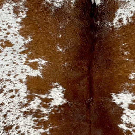 Closeup of this Speckled Brazilian Cowhide, showing white with reddish brown speckles and spots, mostly solid reddish brown down the middle (BRSP2766)