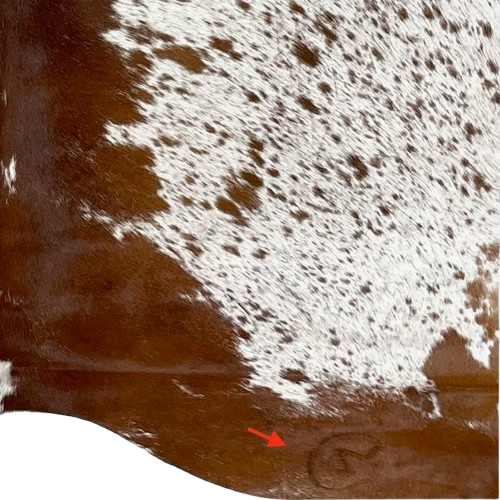 Closeup of this White and Reddish Brown Speckled Brazilian Cowhide, showing one brand mark on the right side of the butt  (BRSP2766)