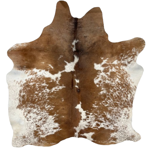 Brown and White Speckled Brazilian Cowhide: white with brown speckles and spots, cloudy, brown speckles, and mostly solid brown down the middle and on the shoulder - 6'7' x 5'2" (BRSP2767)