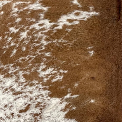 closeup of this Speckled Brazilian Cowhide, showing white with brown speckles and spots, cloudy, brown speckles, and mostly solid brown down the middle (BRSP2767)