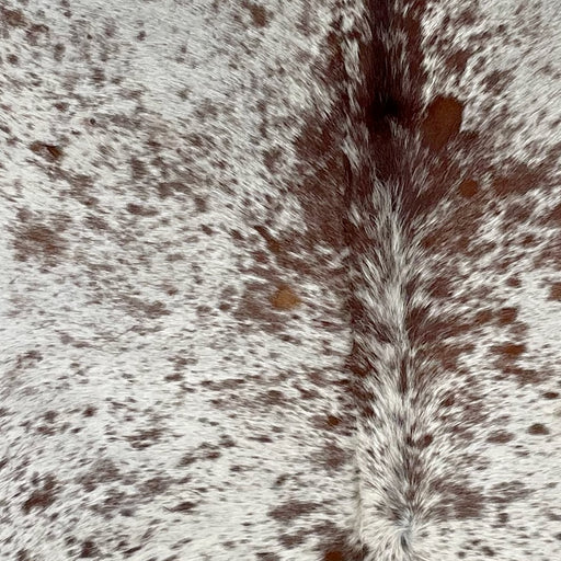 Closeup of this Speckled Brazilian Cowhide, showing white with brown speckles and spots (BRSP2769)