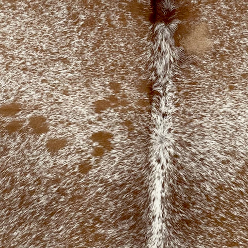 Closeup of this Speckled Brazilian Cowhide, showing white with brown speckles and spots (BRSP2770)