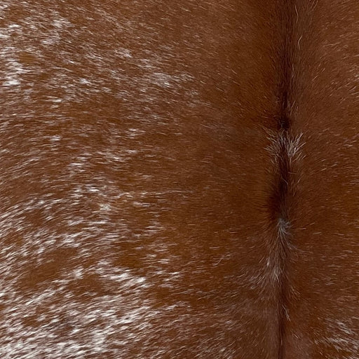 Closeup of this Speckled Brazilian Cowhide, showing reddish brown with white speckles (BRSP2772)