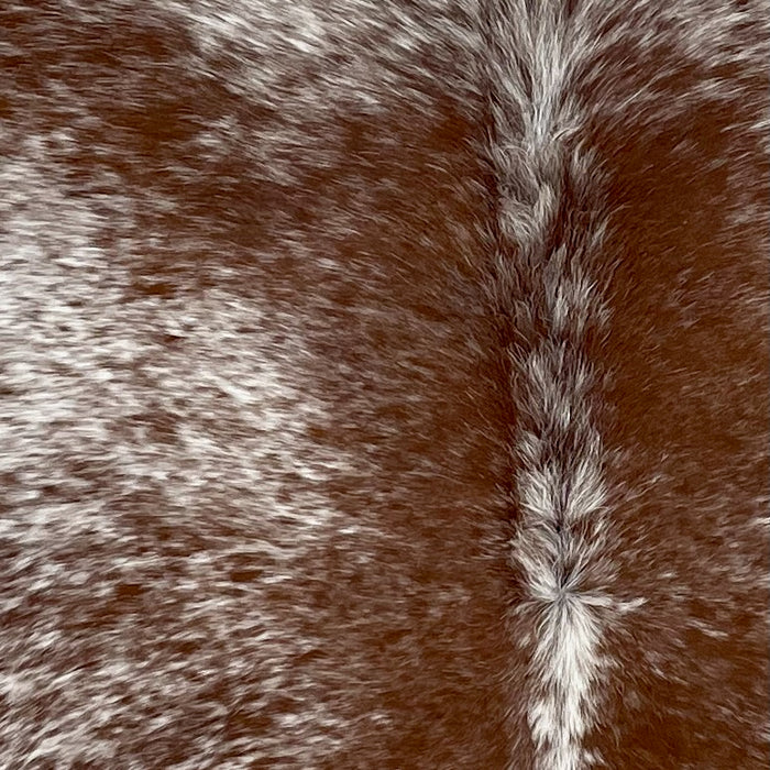 Closeup of this Speckled Brazilian Cowhide, showing white with reddish brown speckles and spots (BRSP2777)