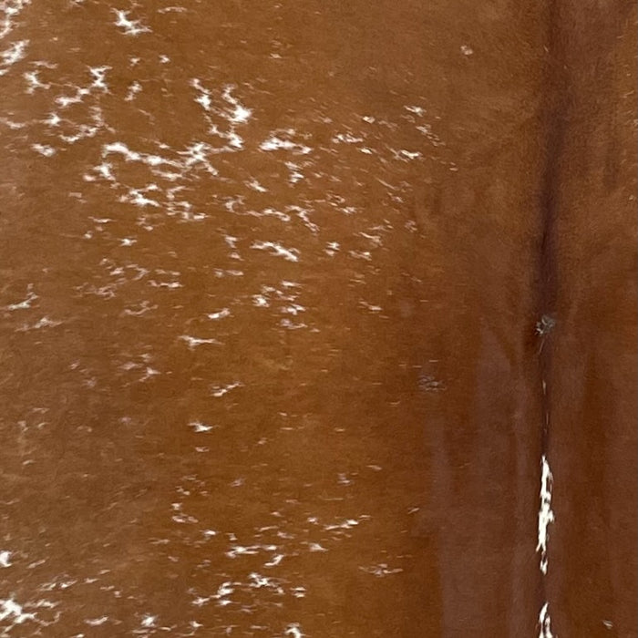 Closeup of this Speckled Brazilian Cowhide, showing brown with white speckles and spots (BRSP2778)