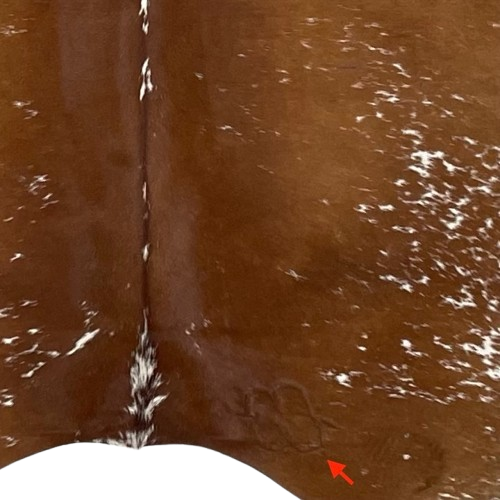 Closeup of this Brown and White Speckled Brazilian Cowhide, showing one brand mark on the right side of the butt (BRSP2778)