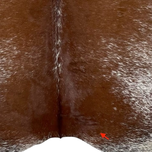 Closeup of this Brown and White Speckled Brazilian Cowhide, showing one brand mark on the right side of the butt  (BRSP2779)