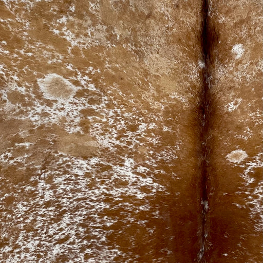 Closeup of this Tricolor Speckled Brazilian Cowhide, showing white with reddish brown spots and speckles on the back, and caramel spots and speckles on the belly and shanks, mostly solid caramel on the shoulder (BRSP2787)