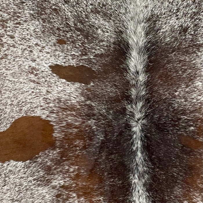 Closeup of this Tricolor Speckled Brazilian Cowhide, showing white with dark reddish brown and blackish brown speckles and spots (BRSP2791)