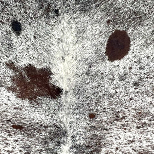 Closeup of this Large Tricolor Speckled Brazilian Cowhide, showing white with brown and black speckles and spots (BRSP2796)