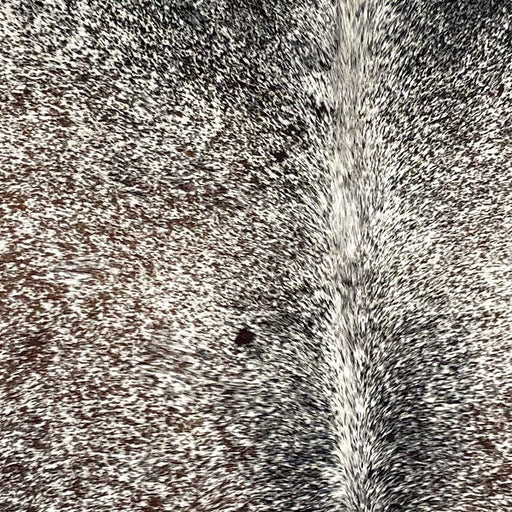 Closeup of this Large Tricolor Speckled Brazilian Cowhide, showing white with black and brown speckles  (BRSP2799)