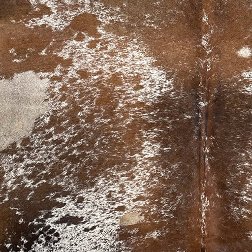 Closeup of this Large Tricolor Speckled Brazilian Cowhide, showing white with brown speckles and spots, and black and brown speckles on the butt  (BRSP2808)