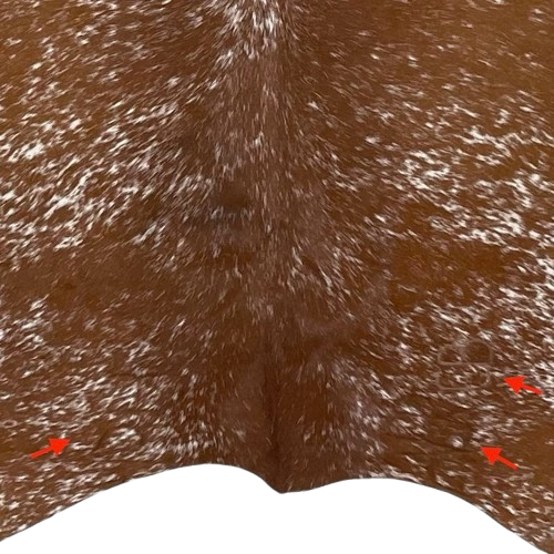 Closeup of this Brown and White Speckled Brazilian Cowhide, showing two brand marks on the right side of the butt and one on the left side of the butt  (BRSP2812)