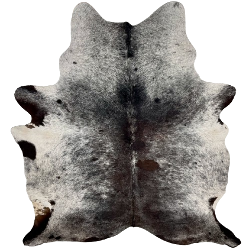 Large Tricolor Speckled Brazilian Cowhide: has a mix of black and dark brown with white speckles down the middle, and white with black speckle and spots on the sides, belly, and shoulder - 7'7" x 5'11" (BRSP2813)