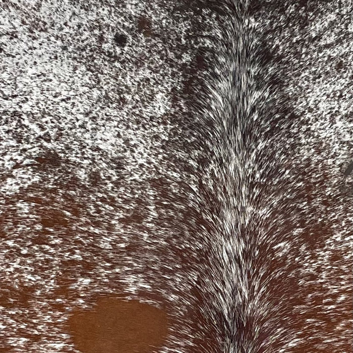 Closeup of this Speckled Brazilian Cowhide, showing white with reddish brown and blackish brown speckles and spots  (BRSP2818)