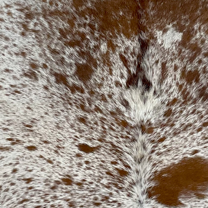 Closeup of this Speckled Brazilian Cowhide, showing off-white with brown speckles and spots (BRSP2819)