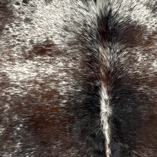 Closeup of this Tricolor Speckled Brazilian Cowhide, showing white with black and brown speckles and spots, and a large spot in the middle that has a mix of black and brown with white speckles (BRSP2823)