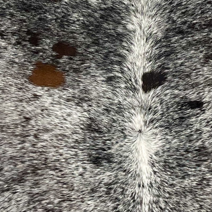 Closeup of this XL Speckled Brazilian Cowhide, showing white with black speckles and spots, and a few small, brown spots on the back (BRSP2827)