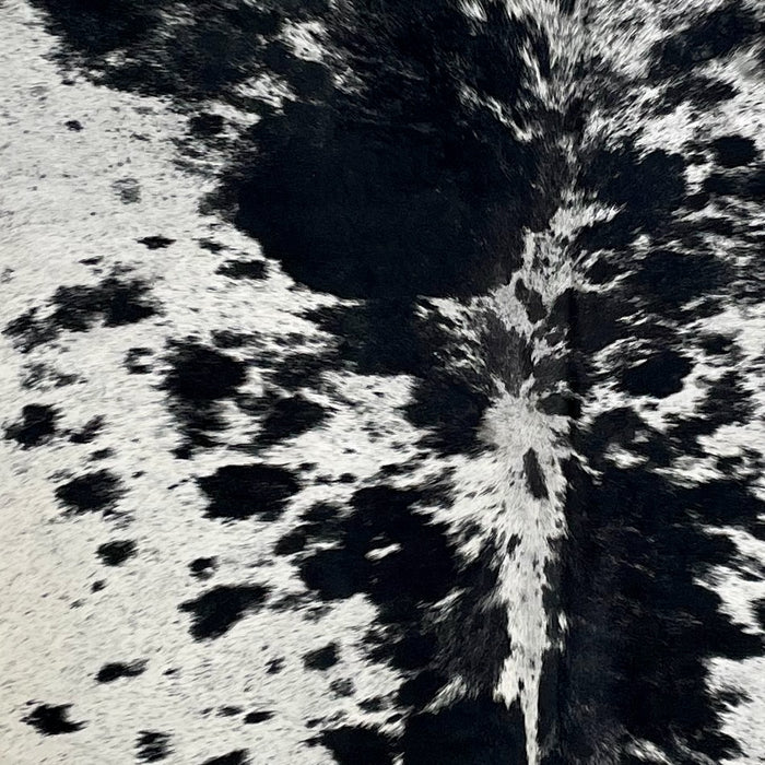 Closeup of this Large Speckled Brazilian Cowhide, showing white with black speckles, and large and small, black spots (BRSP2839)