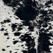 Closeup of this Large Speckled Brazilian Cowhide, showing white with black speckles, and large and small, black spots (BRSP2839)