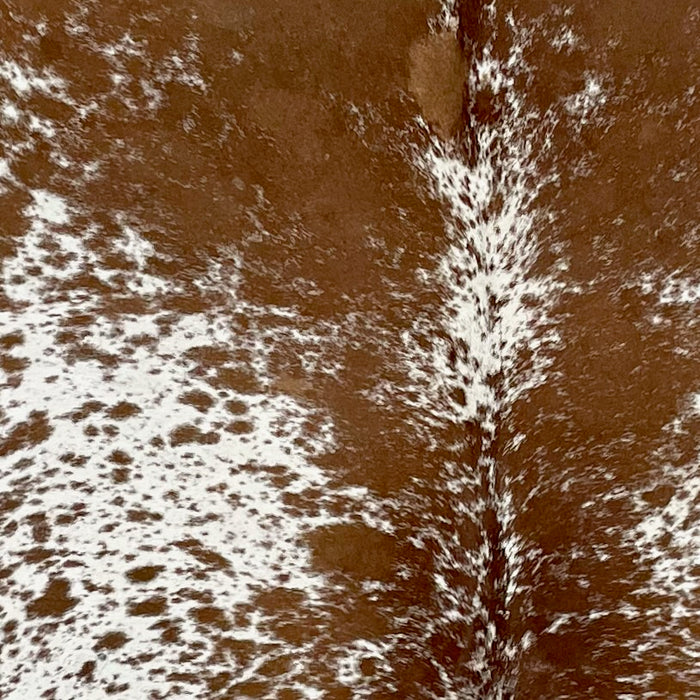 Closeup of this Speckled Brazilian Cowhide, showing white with brown speckles and spots (BRSP2845)