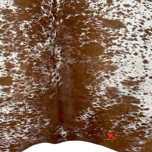 Closeup of this Brown and White Speckled Brazilian Cowhide, showing one brand mark on the right side of the butt (BRSP2845)