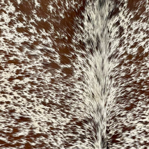 Closeup of this Speckled Brazilian Cowhide, showing Ivory with brown speckles and spots  (BRSP2847)