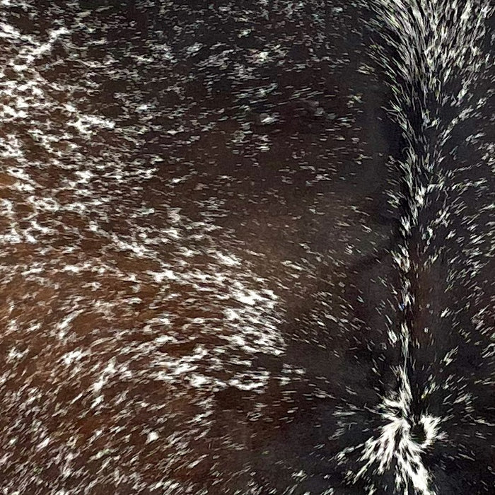 Closeup of this Tricolor Speckled Brazilian Cowhide, showing dark brown and dark golden brown with white speckles and spots  (BRSP2848)