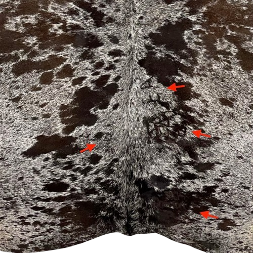 Closeup of this Speckled Brazilian Cowhide, showing white with dark brown speckles and spots, and 3 brand marks on the right side and one on the left side, all on or near the butt  (BRSP2850)