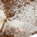 Closeup of this White and Reddish Brown Speckled Brazilian Cowhide, showing one brand mark on the left side of the butt (BRSP2853)