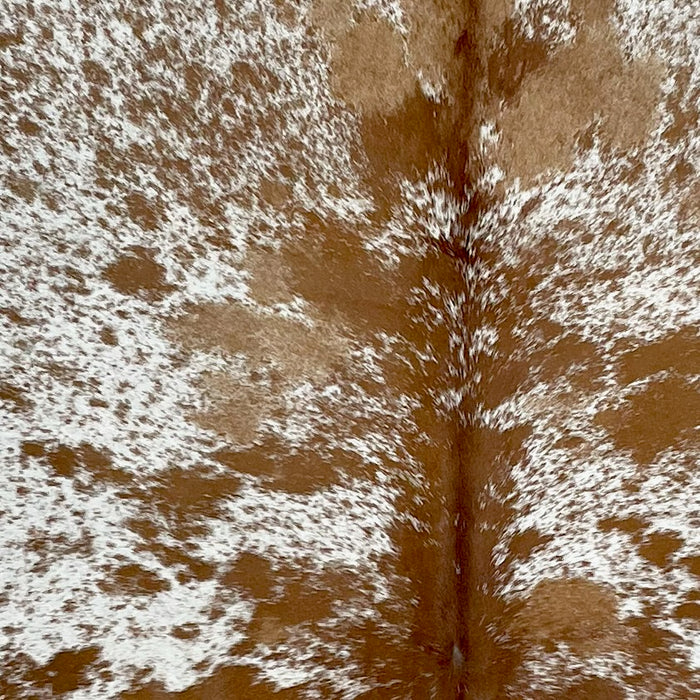 Closeup of this Speckled Brazilian Cowhide, showing white with reddish brown speckles and spots, and a few caramel spots (BRSP2857)