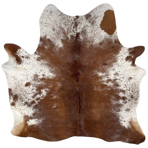 Reddish Brown and White Speckled Brazilian Cowhide: reddish brown with white speckles down the middle and across the butt and hind shanks, and it has white with reddish brown speckles and spots on the belly and part of the shoulder - 5'11" x 5'5" (BRSP2860)